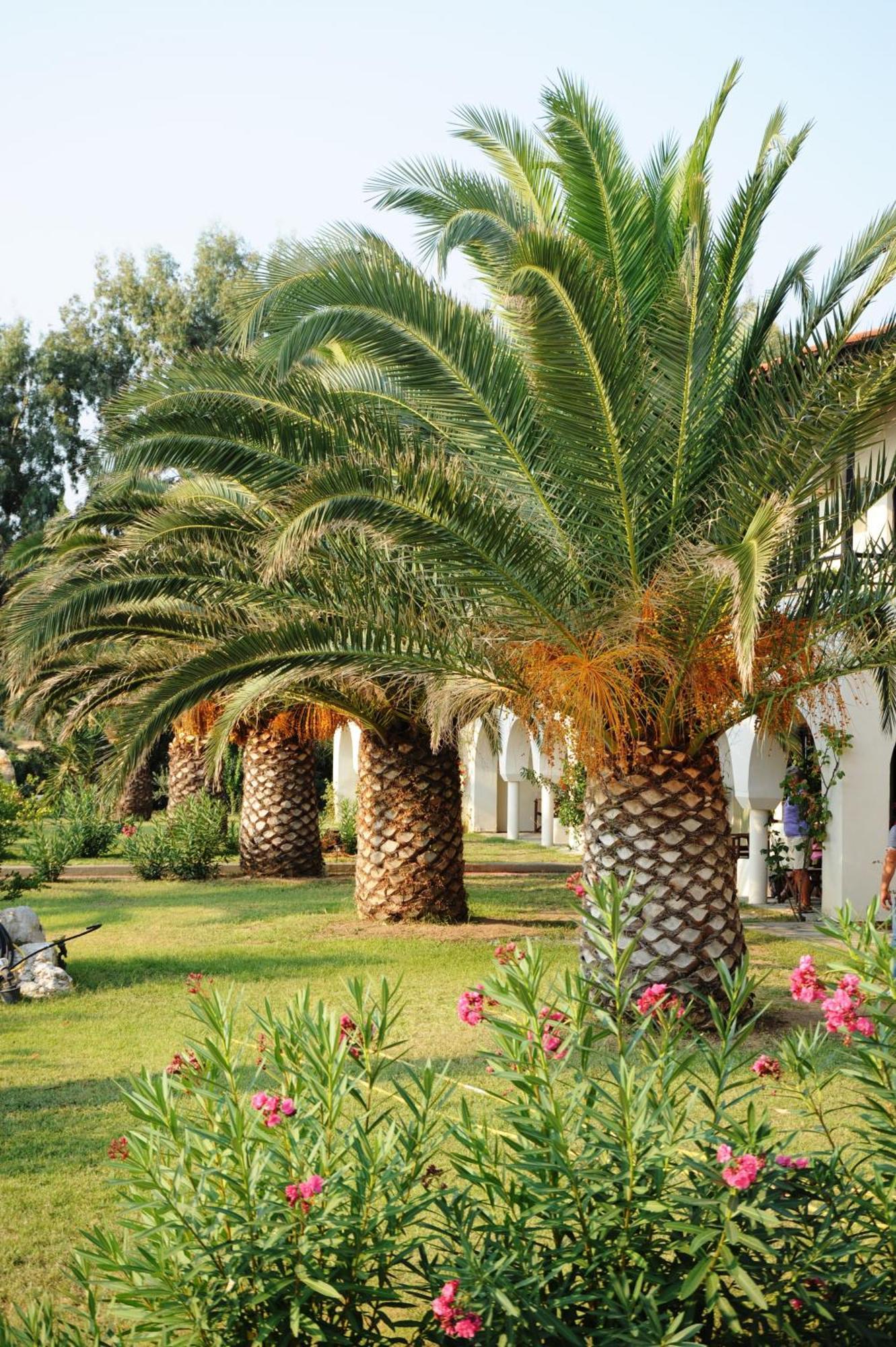 بيرغاديكيا Assa Maris Beach Hotel المظهر الخارجي الصورة